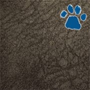 Willard Cobblestone